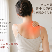 画像291